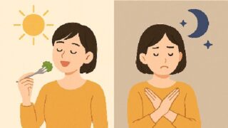 🍽️ 昼だけ食べて夜は抜く生活、健康にもダイエットにも効果的？