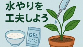 🪴 観葉植物の水やりを工夫しよう！代替案と家庭でできる再利用法